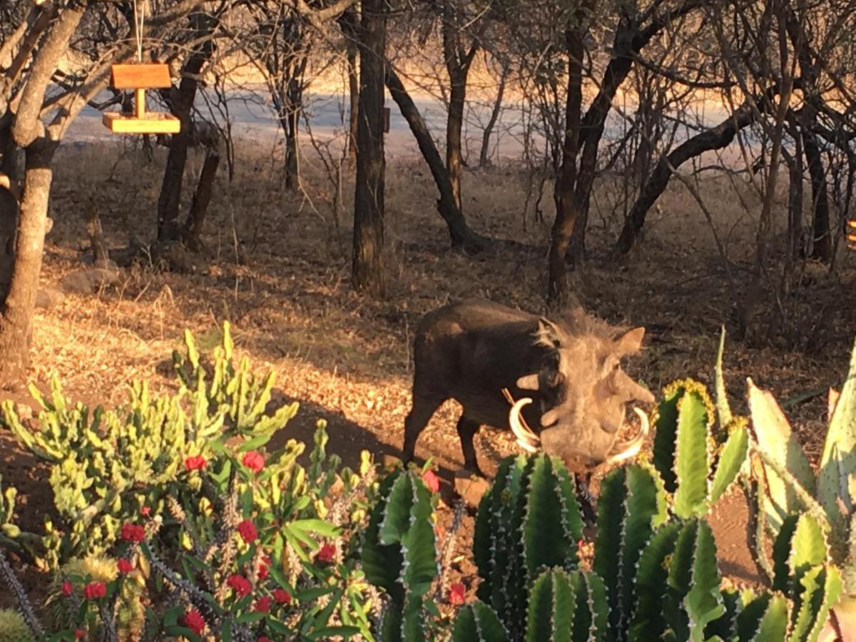 Giraffe Lodge Hoedspruit Dış mekan fotoğraf
