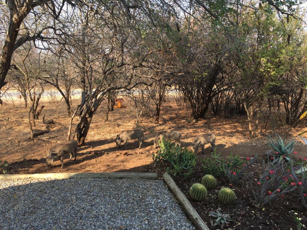 Giraffe Lodge Hoedspruit Dış mekan fotoğraf