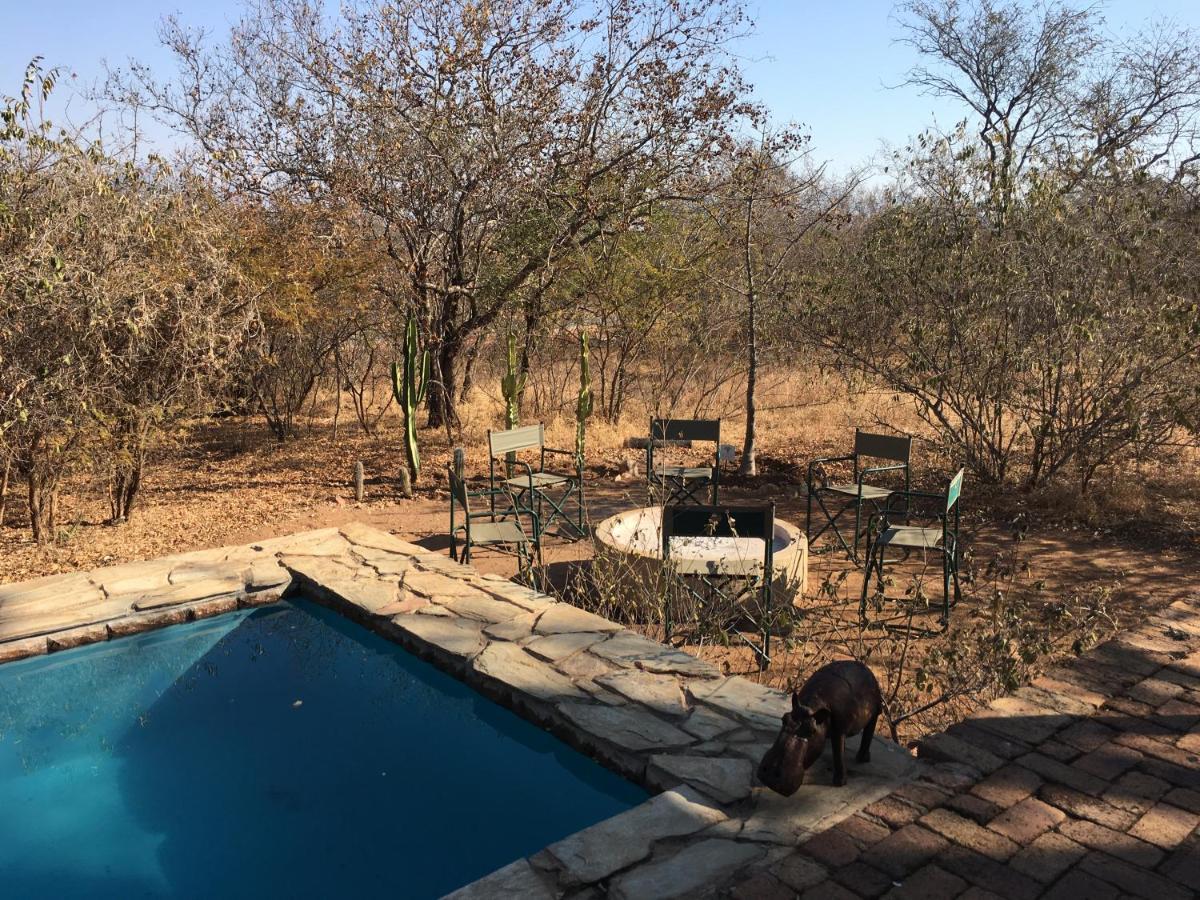 Giraffe Lodge Hoedspruit Dış mekan fotoğraf