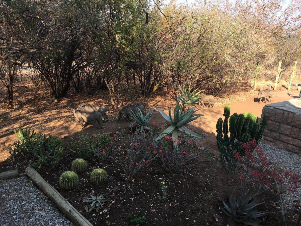 Giraffe Lodge Hoedspruit Dış mekan fotoğraf