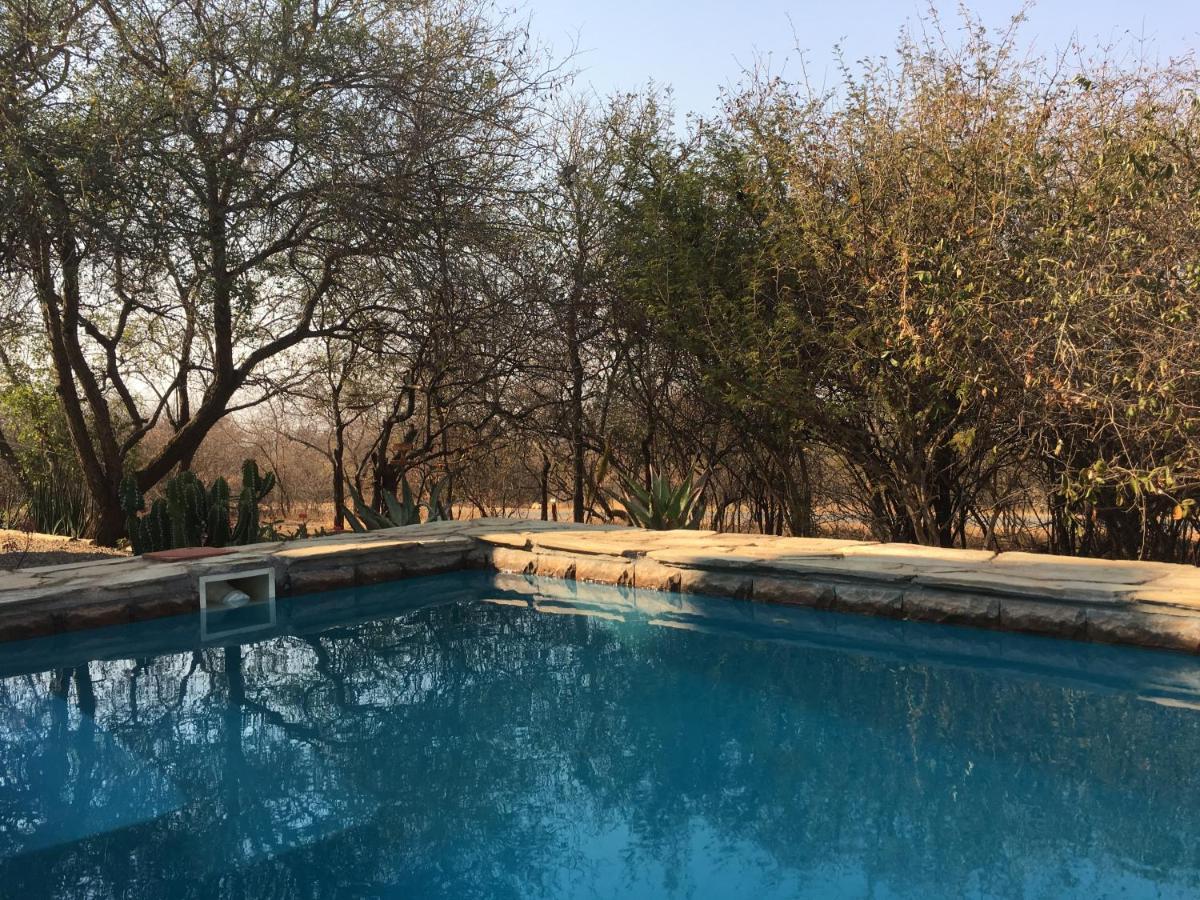 Giraffe Lodge Hoedspruit Dış mekan fotoğraf