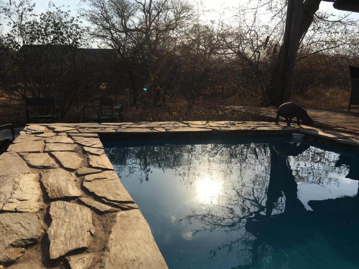 Giraffe Lodge Hoedspruit Dış mekan fotoğraf