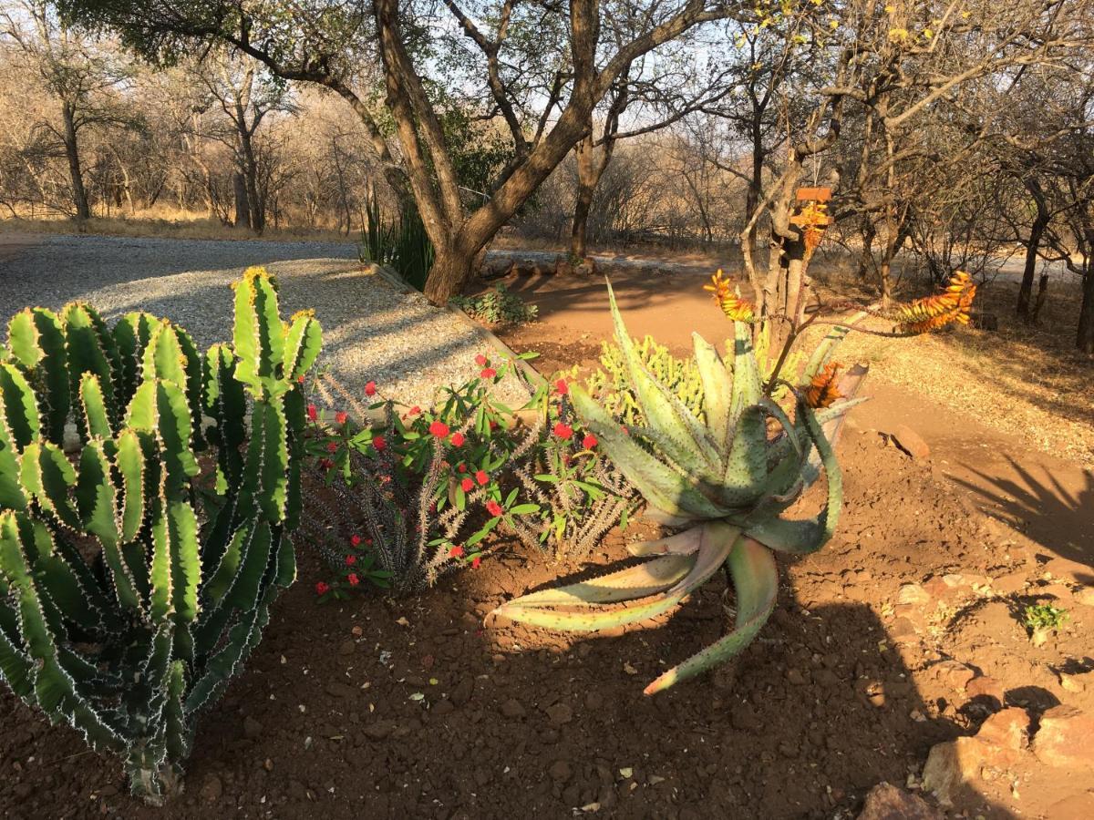 Giraffe Lodge Hoedspruit Dış mekan fotoğraf