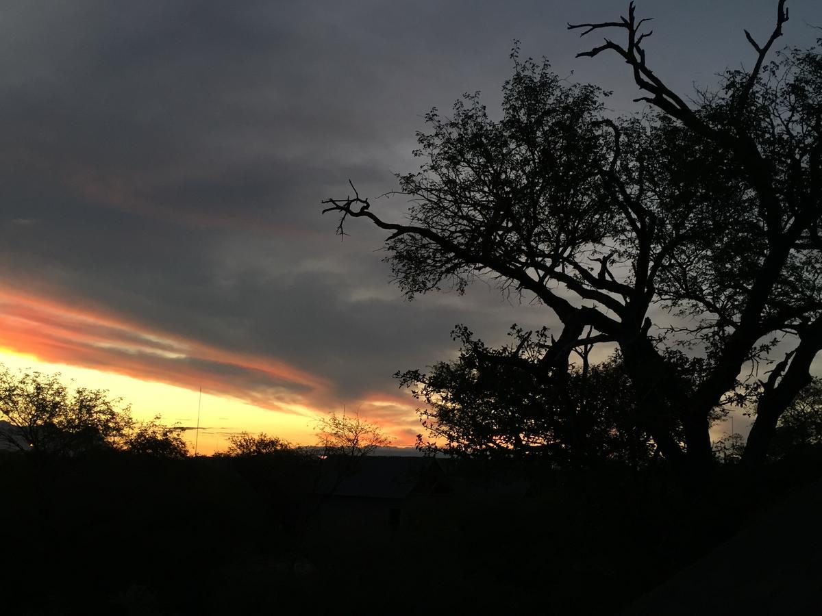 Giraffe Lodge Hoedspruit Dış mekan fotoğraf