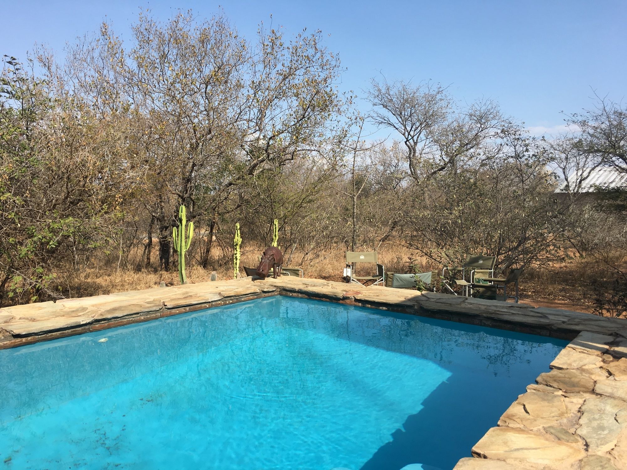 Giraffe Lodge Hoedspruit Dış mekan fotoğraf